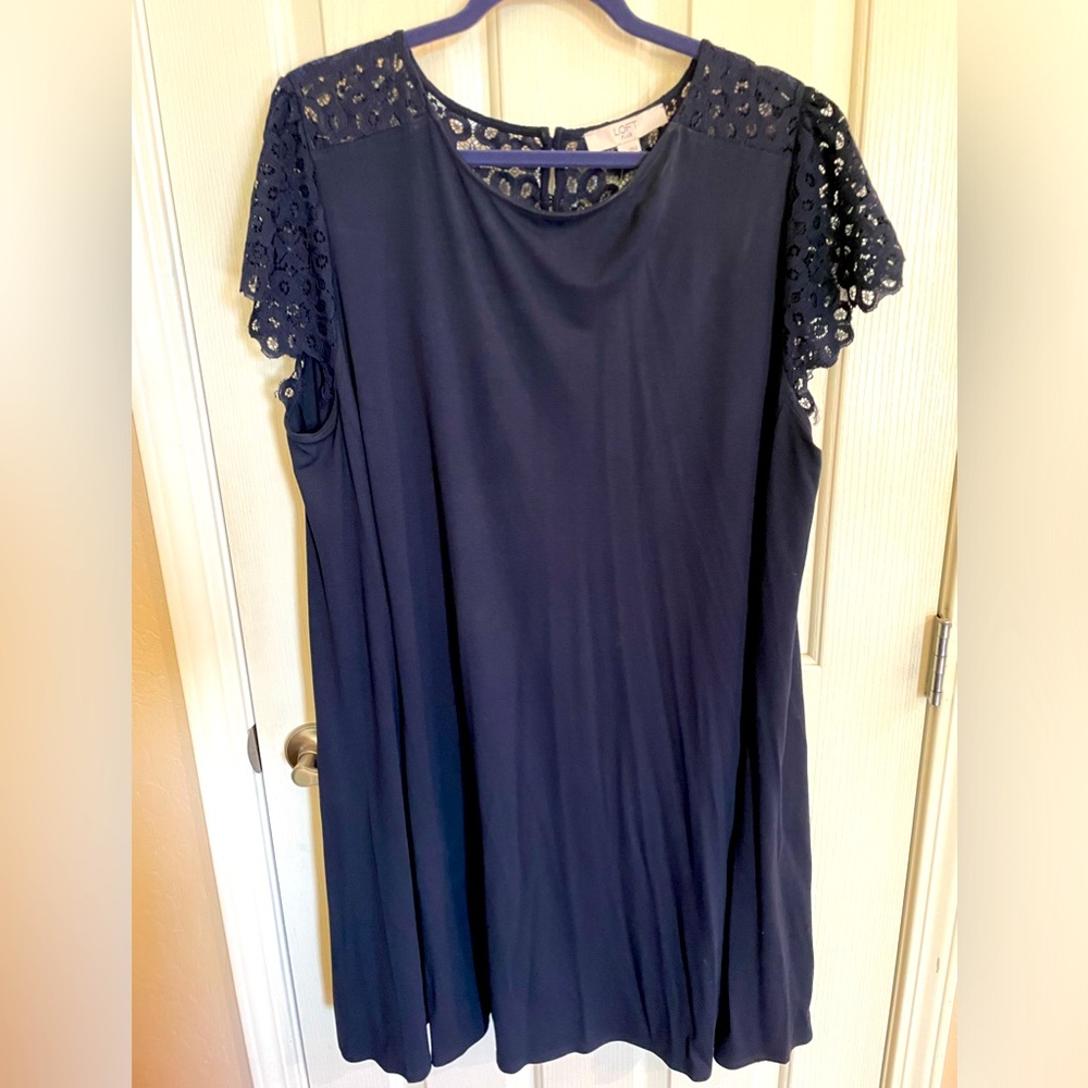 Loft lace sleeve navy dress plus size 22
